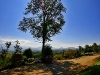 pai_MG_3390