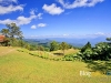 pai_MG_3427