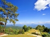 pai_MG_3448
