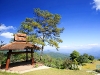 pai_MG_3450