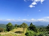 pai_MG_3457