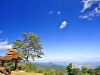 pai_MG_3459