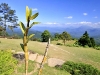 pai_MG_3465