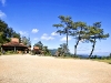 pai_MG_3471