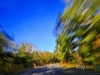 lampang_MG_3865