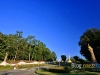 nan_MG_3874