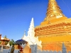 nan_MG_3883
