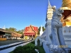 nan_MG_3890