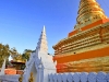 nan_MG_3917