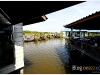 kaengkrachan__MG_3684.JPG