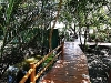 samutsakorn_MG_5982.JPG