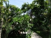 samutsakorn_MG_6008.JPG