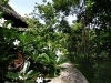 samutsakorn_MG_6009.JPG