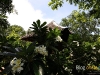 samutsakorn_MG_6012.JPG