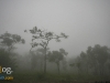 chaiyaphum_MG_7932