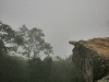 chaiyaphum_MG_7947
