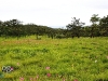 chaiyaphum_MG_8574