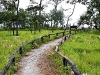 chaiyaphum_MG_8593