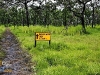 chaiyaphum_MG_8688