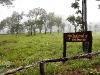 chaiyaphum_MG_8734