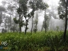 chaiyaphum_MG_8767