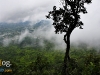 chaiyaphum_MG_8780