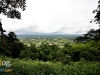 chaiyaphum_MG_8805