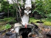 chaiyaphum_MG_8913