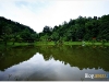 surin_IMG_1668.JPG
