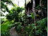 surin_IMG_1672.JPG