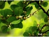surin_IMG_1729.JPG