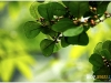 surin_IMG_1732.JPG