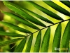 surin_IMG_1742.JPG