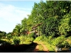 surin_IMG_1813.JPG