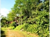 surin_IMG_1819.JPG