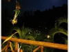 baandin_MG_2744