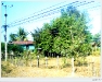 lao_DSCF5840.JPG