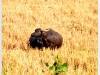 lao_DSCF5852.JPG