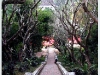 lao_DSCF7529.JPG