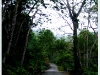 lao_DSCF7691.JPG