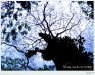 lao_DSCF7809.JPG