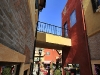 palio_MG_8741