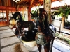pbvalley_MG_6629