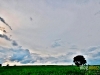 phunarin_MG_6666