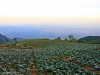 phutubberk_MG_2429