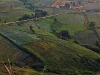 phutubberk_MG_2466