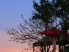 phutubberk_MG_2534