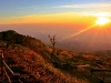 phutubberk_MG_2694