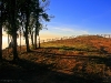 phutubberk_MG_2758
