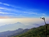 phutubberk_MG_2776